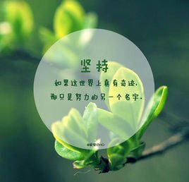 深圳市政协委员张京京：做好政策和金融的服务，助力园区低碳化